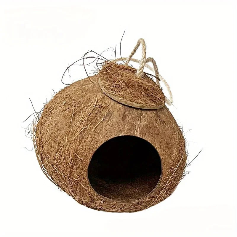 Nid d’oiseaux extérieur en coco