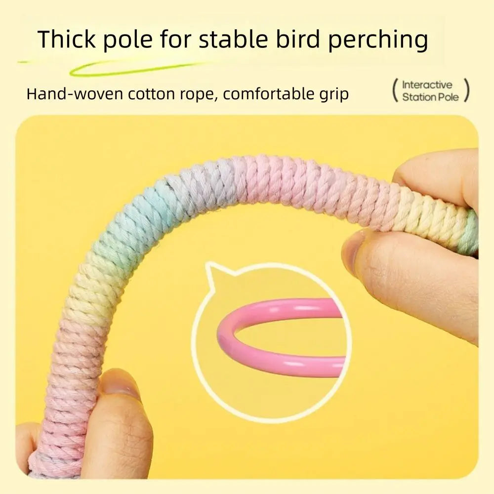 perchoir à oiseaux support à pince