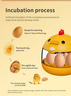 Incubateur pour 5 œufs de poules