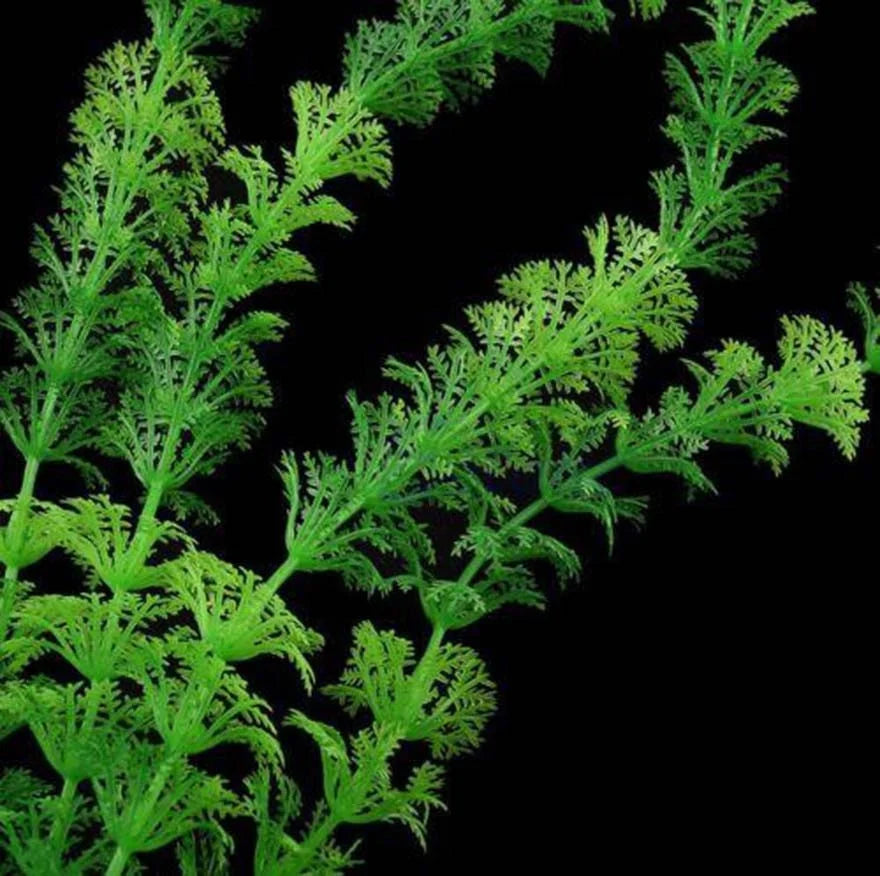 Plante en plastique Egeria