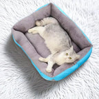 Panier rectangle pour chien