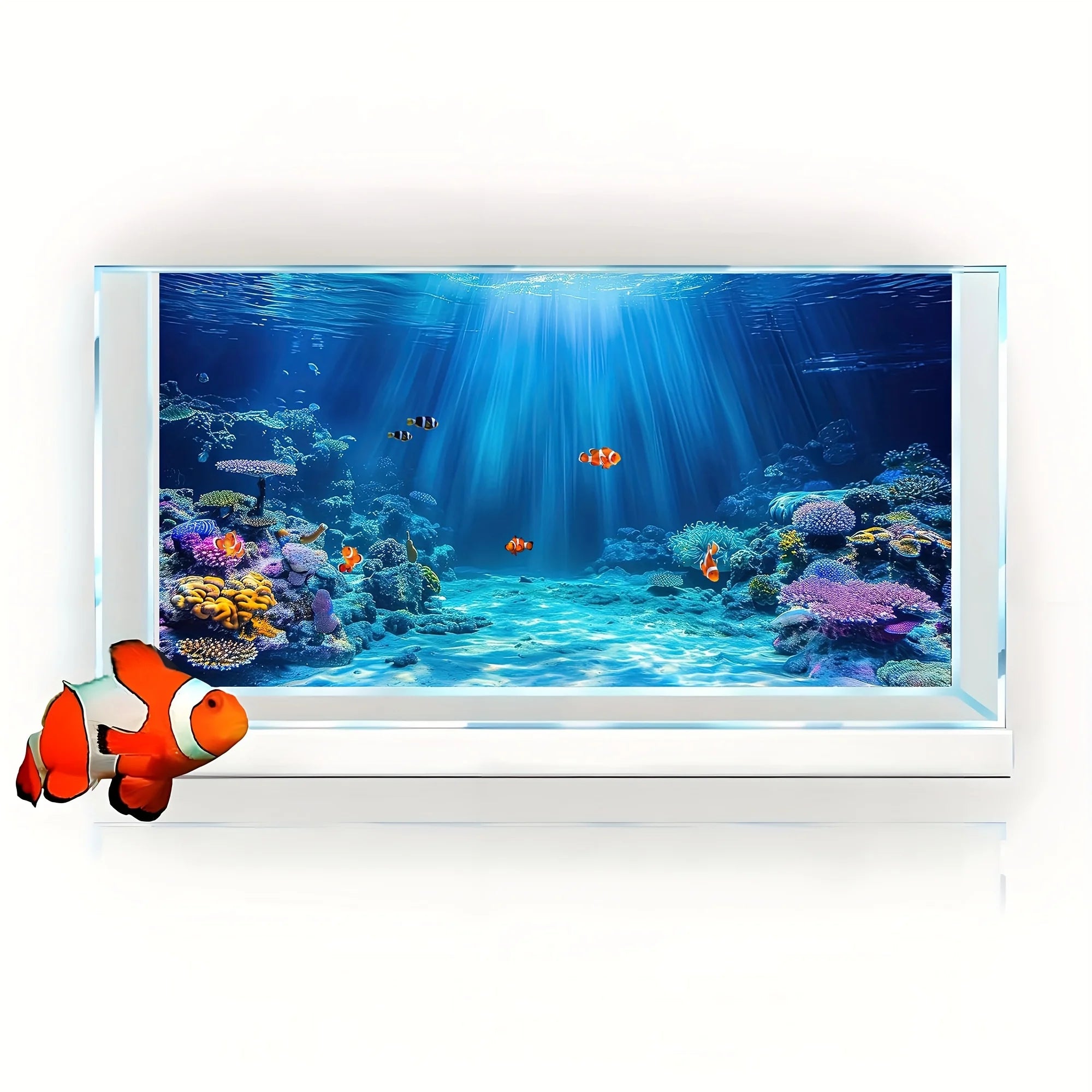 Poster coraux et plantes