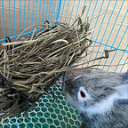 Panier métal pour lapin