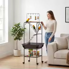 Support de jeu oiseaux, perchoir perroquet