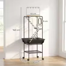 Support de jeu oiseaux, perchoir perroquet