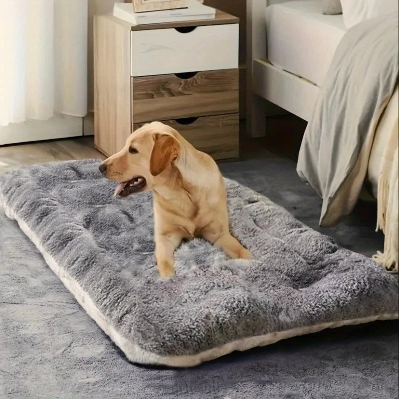 Coussin pour grand chien