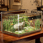 Aquarium de bureau rectangle