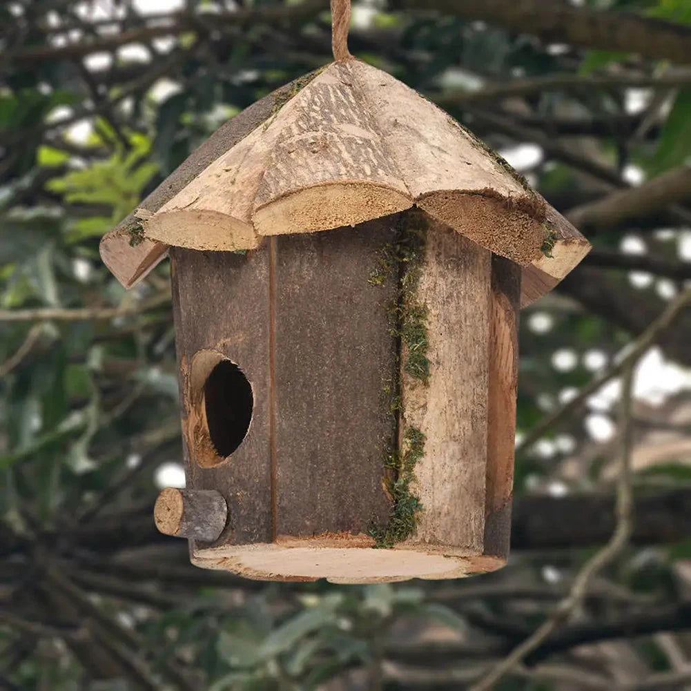 Niche extérieur petits oiseaux
