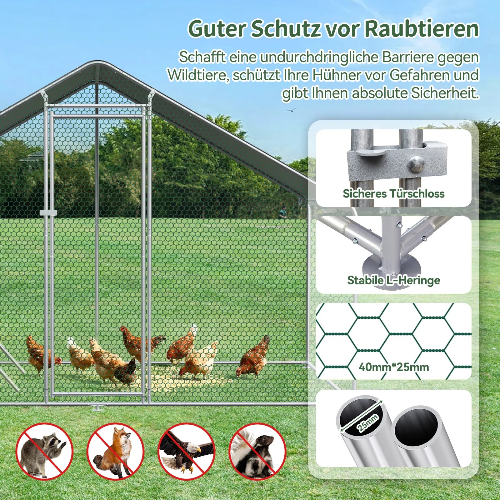 Enclos à poules XXL 3x4x2m
