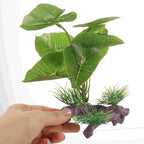 Plante en plastique Anubias