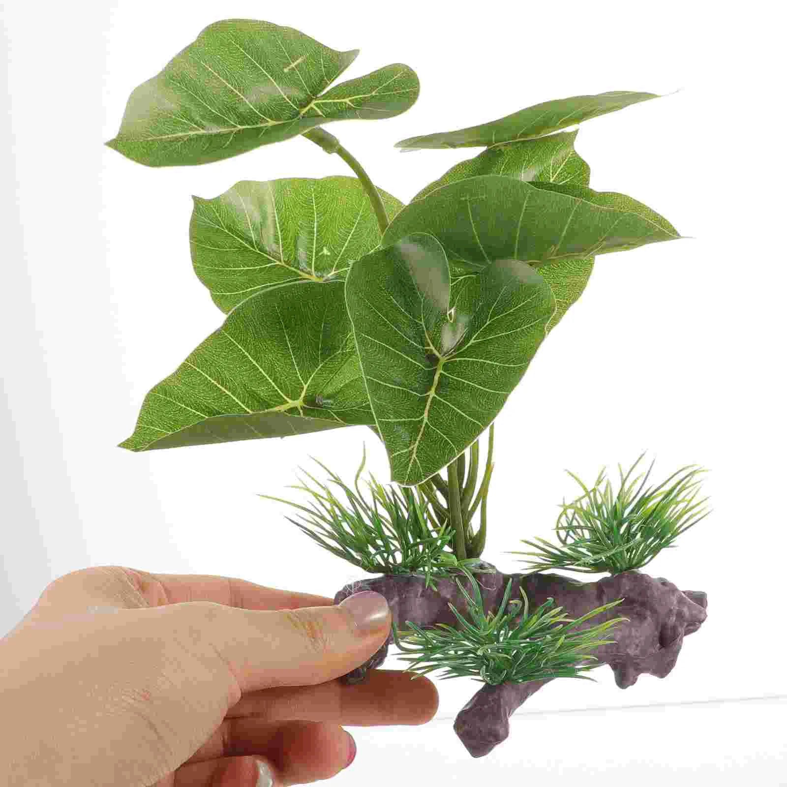 Plante en plastique Anubias