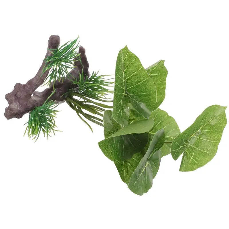 Plante en plastique Anubias