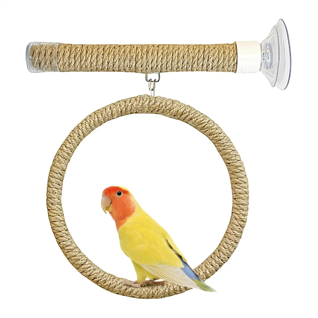 perchoir à oiseaux fixation ventouse
