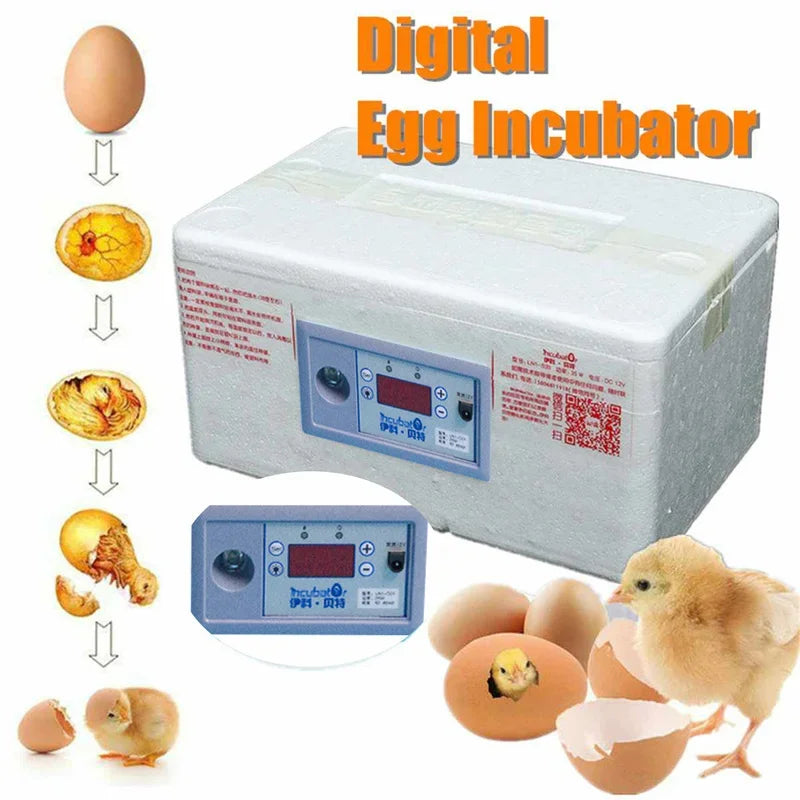 Incubateur 20 œufs de poules