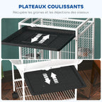 Volière petit et moyen perroquet