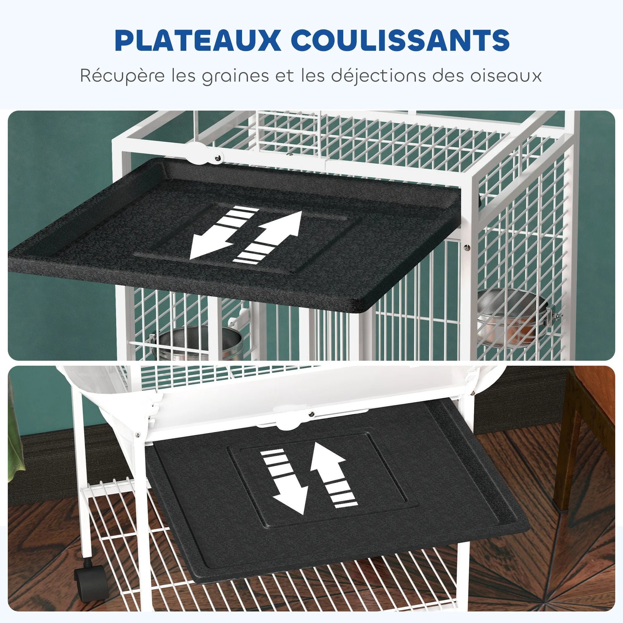 Volière petit et moyen perroquet