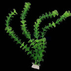 Plante en plastique Egeria