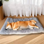 Coussin pour grand chien