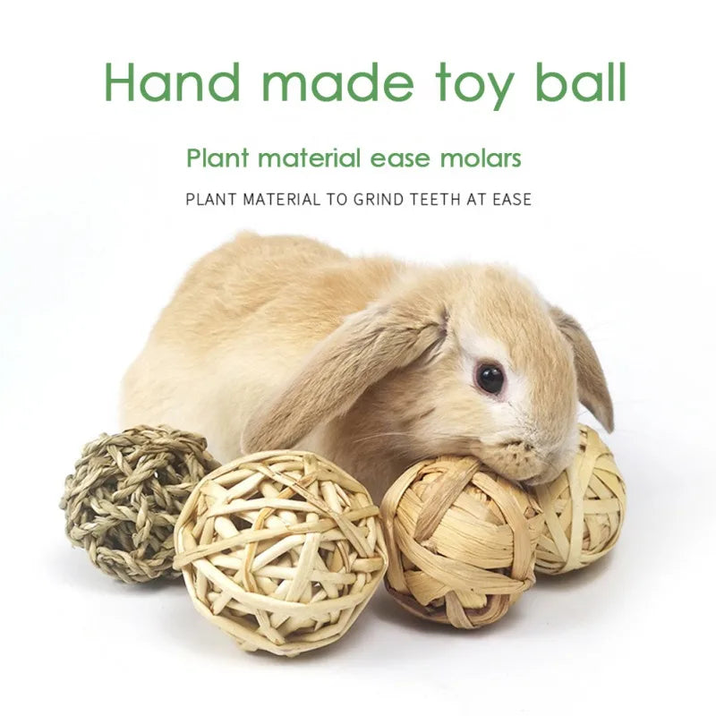 5 balles à lapin