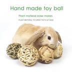 5 balles à lapin