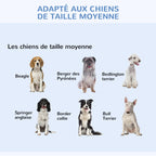 Cage de transport chiens