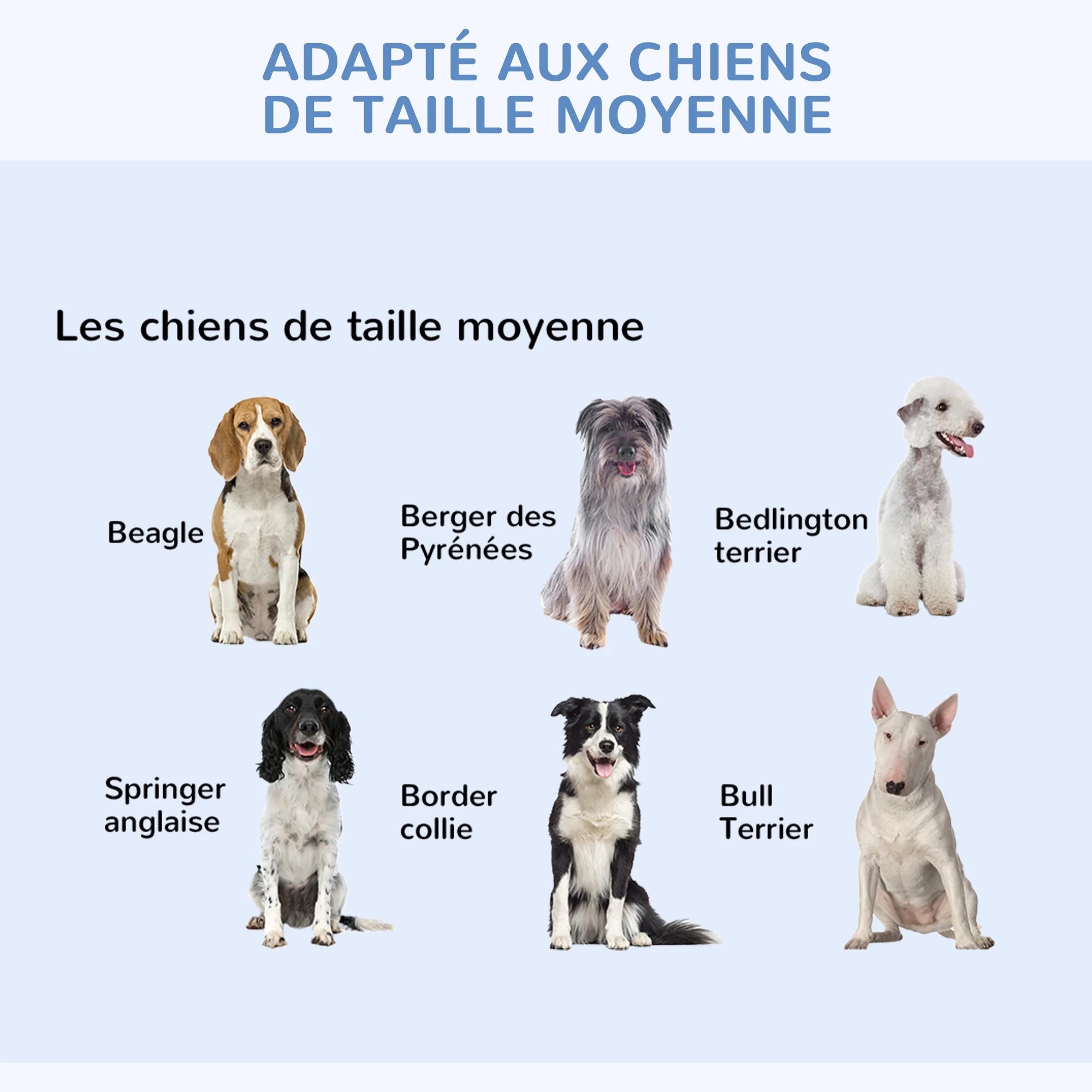 Cage de transport chiens