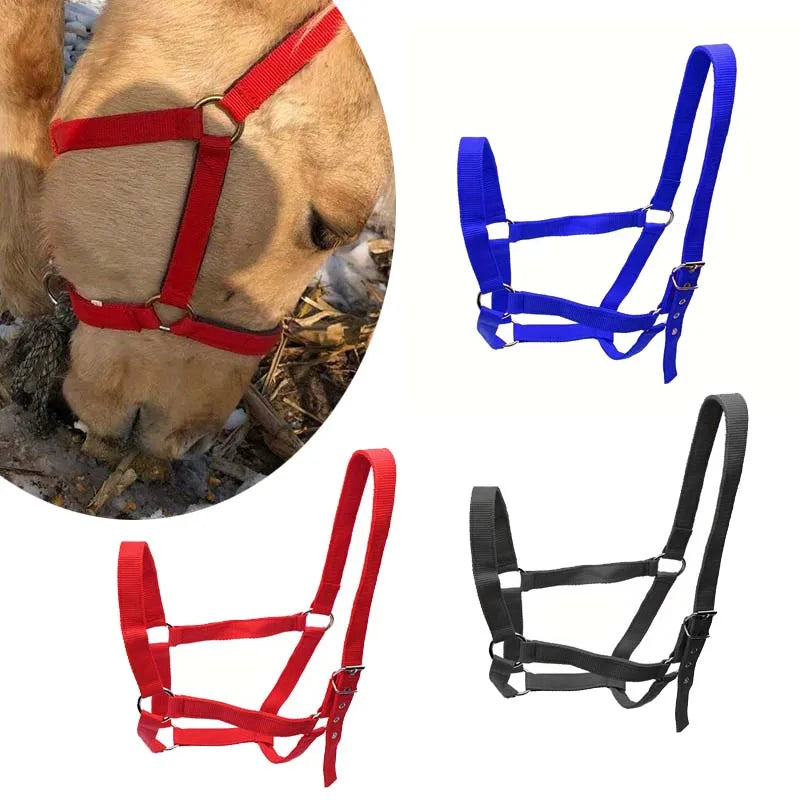 Licol réglable en nylon