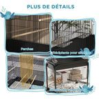 Moyen ou grand perroquet support roulant