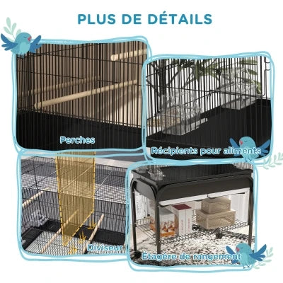 Moyen ou grand perroquet support roulant
