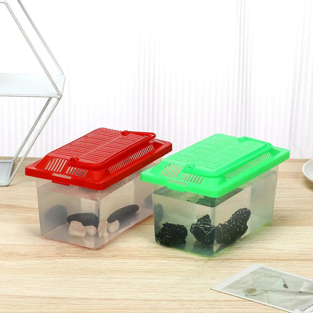 Caisse de transport plastique