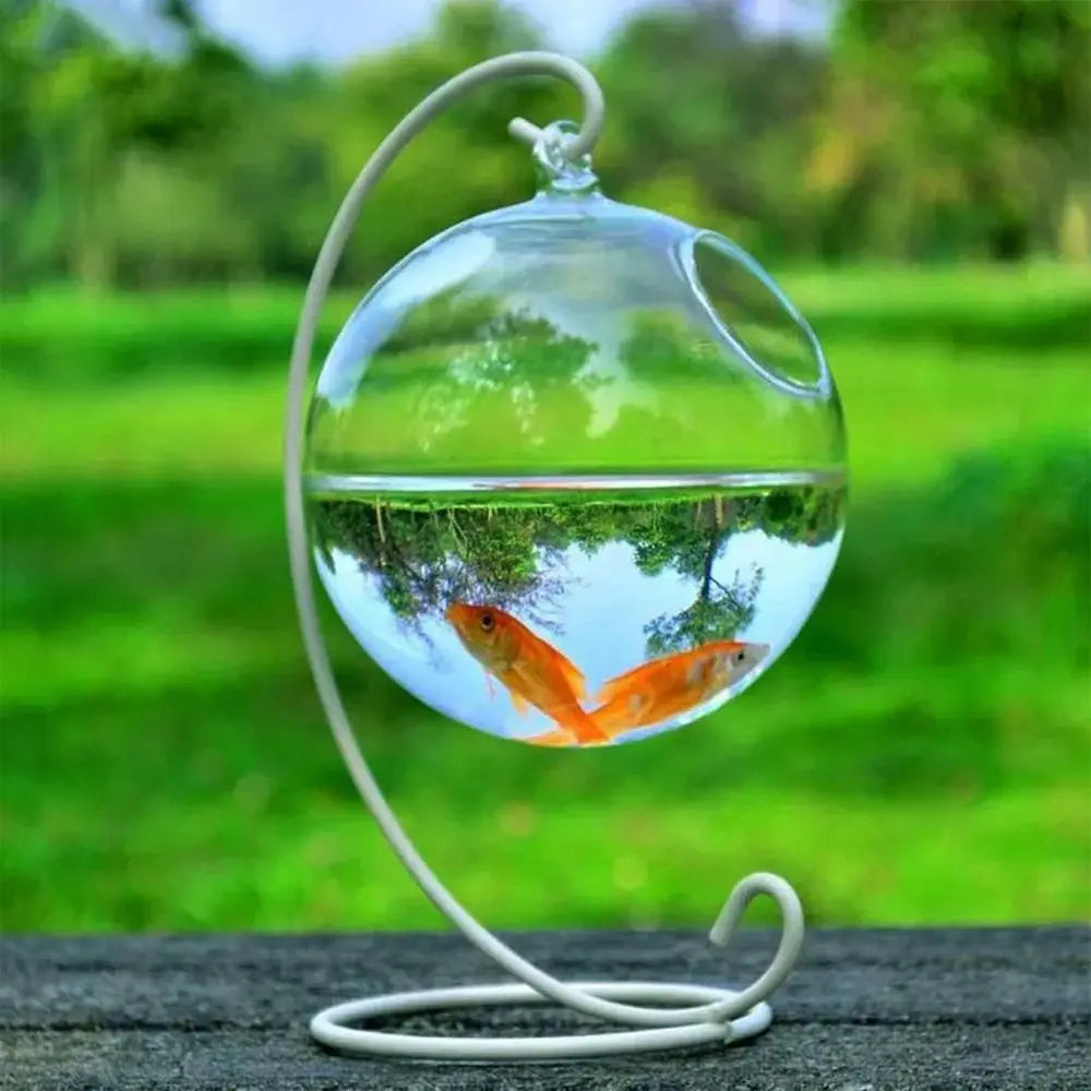 Bocal à poisson suspendu