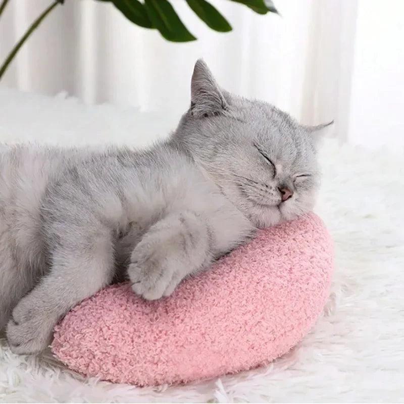 Oreiller pour chats