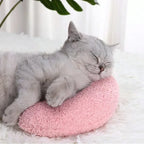 Oreiller pour chats