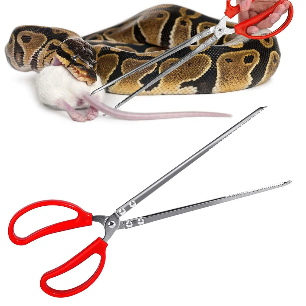 Pince alimentation serpents