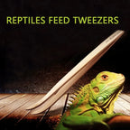 Pince a repas reptiles