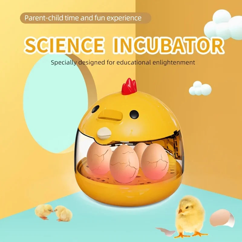 Incubateur pour 5 œufs de poules