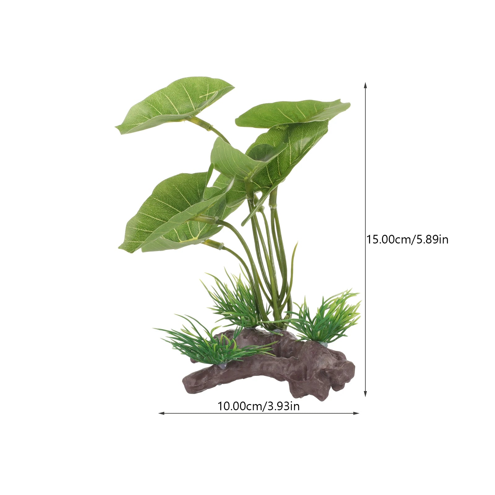 Plante en plastique Anubias