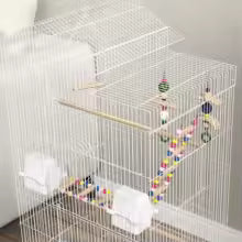 Cage Calopsitte ou petit perroquet