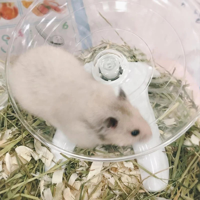 Roue hamster horizontale