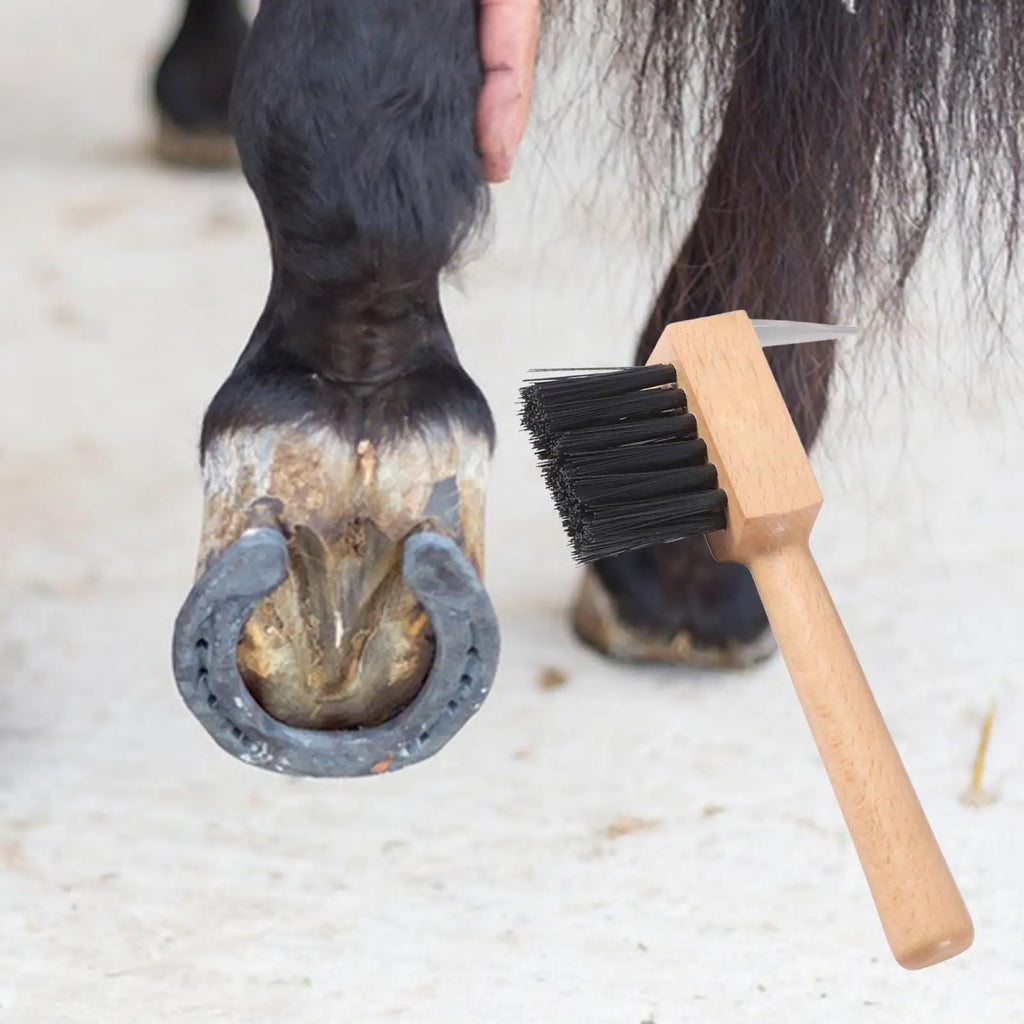 Cure-Sabot cheval