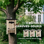 Lot de 3 cabanes chauve-souris