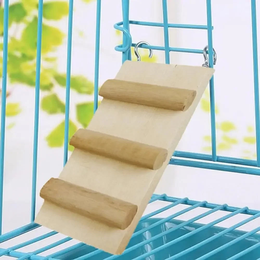 échelle pleine hamster