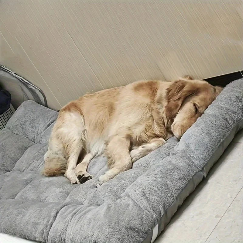 Coussin pour grand chien