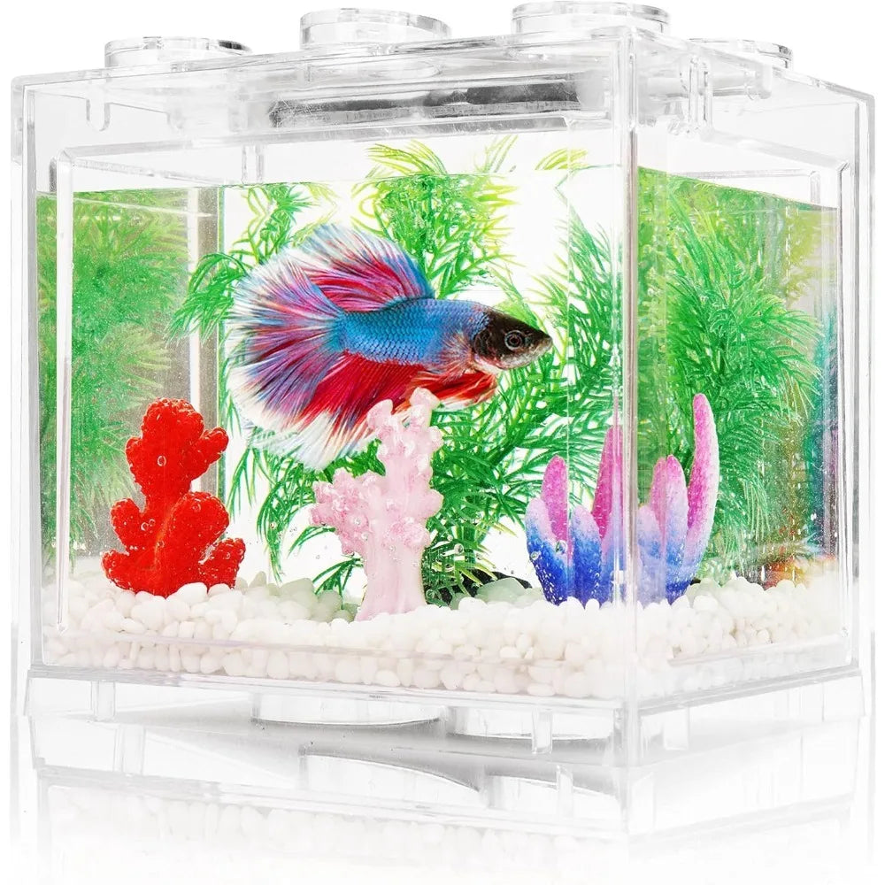 Mini aquarium empilable