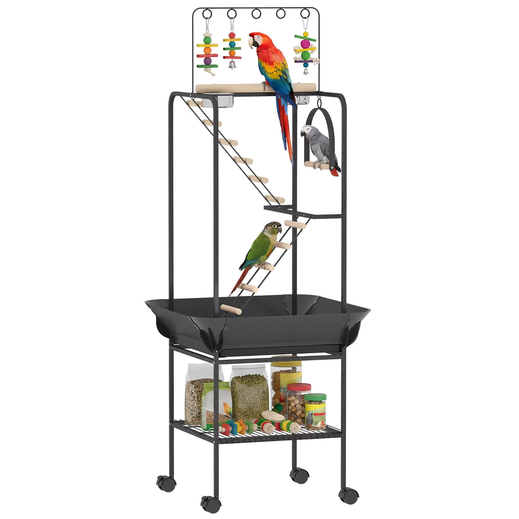 Support de jeu oiseaux, perchoir perroquet