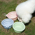 Gamelle pliante en silicone pour chien