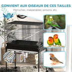 Moyen ou grand perroquet support roulant