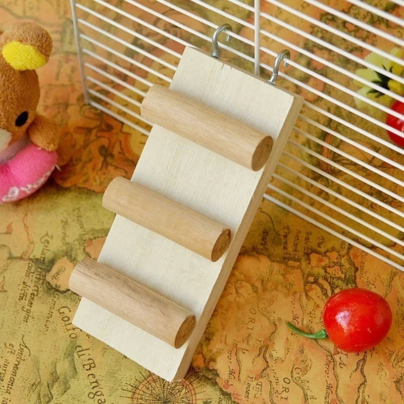 échelle pleine hamster