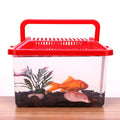 Caisse de transport plastique