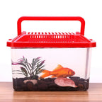 Caisse de transport plastique